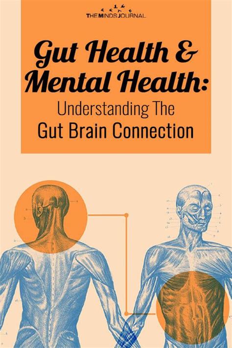 Gut Health And Mental Health Understanding The Gut Brain Connection