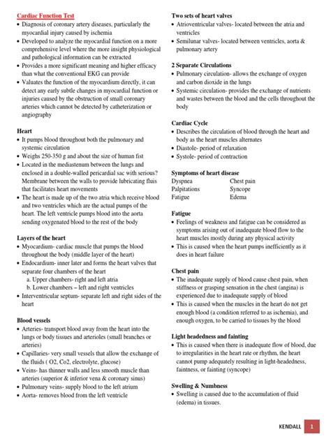 3.2 Cardiac Function Test | Download Free PDF | Vein | Heart