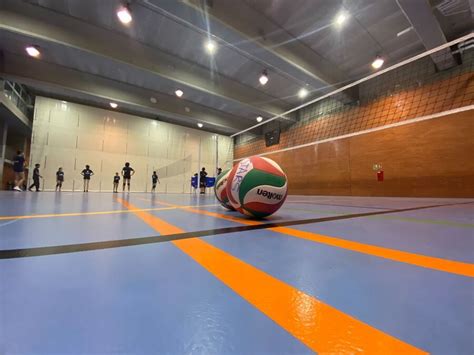 Alquiler Pistas De Voleibol En Madrid Stars Volleyball Club