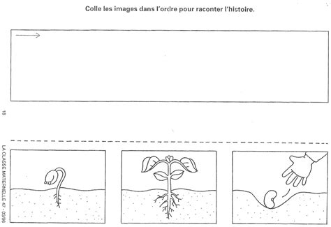 Images séquentielles Germination des plantes Germination Science