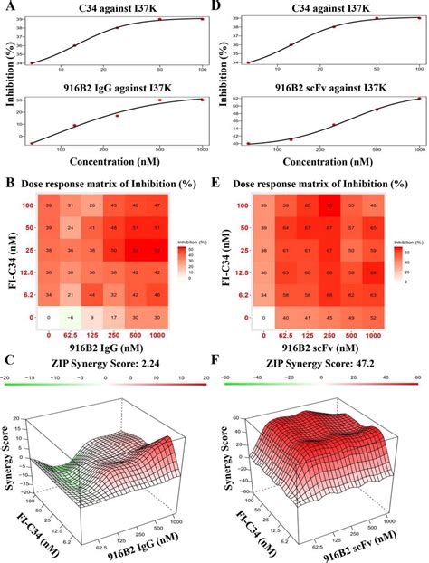 Synergistic Effect Of Fusion Inhibitors And Scfvs In Inhibiting Cell