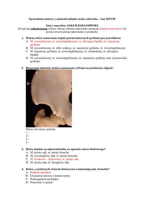 Test Z Anatomii Cz Owieka