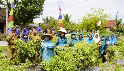 Kemandirian Pangan Koran Jakarta