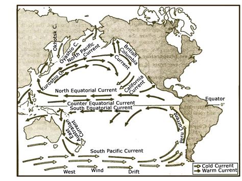 Questions On Geography The Currents Of The Pacific Ocean