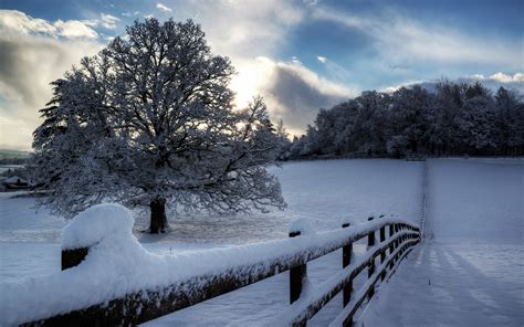 Invierno En Hd Imagui