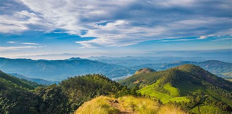 Things To Do in Munnar - Kerala Tourism Blog - LiveKerala