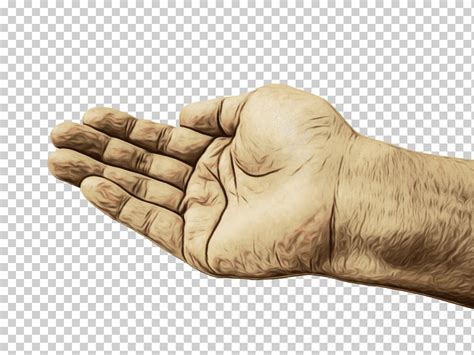 Mano Dedo Gesto Pulgar Humano Acuarela Pintura Tinta H Meda Png