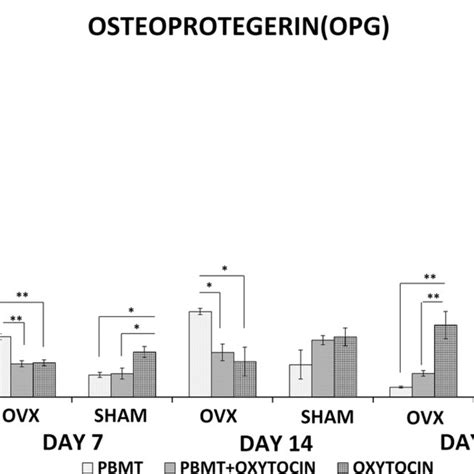 Mean ±SD of Osteoprotegerin gene expression as examined by real-time... | Download Scientific ...