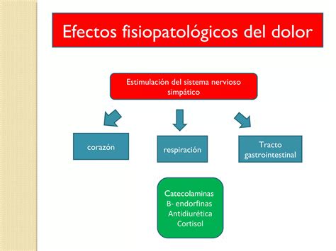 Fisiologia Del Dolor Unefm Ppt