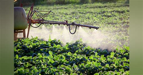 EU imposes two-year ban on neonicotinoid pesticides | Processing Magazine