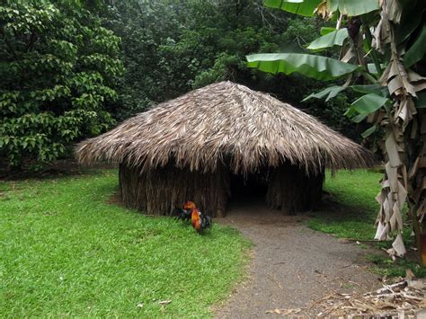 Life In A Traditional Hawaiian Village Searching The Aloha Hit The