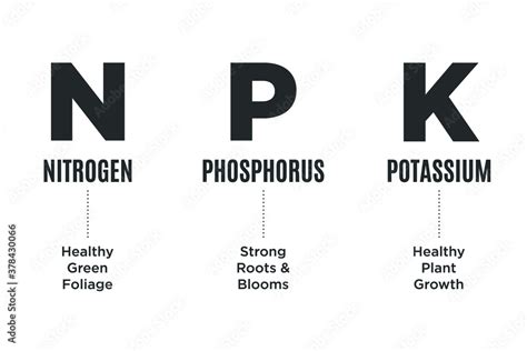 Npk Nitrogen Phosphorus Potassium Garden Fertilizer Chart Guide