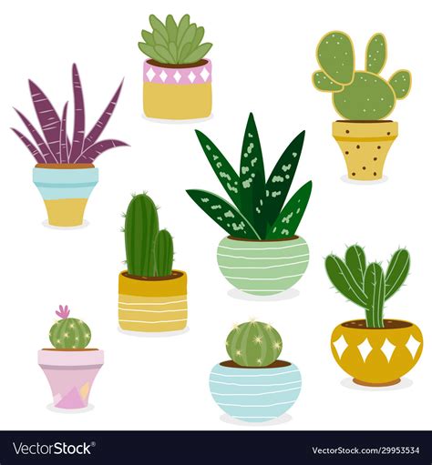 Succulent Vector