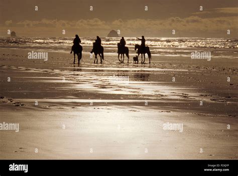 Horseback riders on beach, Bayocean Peninsula, Oregon Stock Photo - Alamy