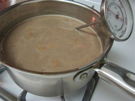 The Vegan Chronicle Hot Chocolate With Ginger