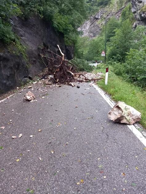 Maltempo In Trentino Alcune Strade Chiuse E Alberi Caduti Notizie