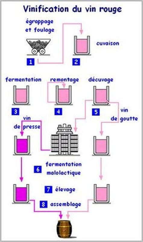 Vinif Rouge Carte Des Vins Stockage Du Vin Vin Rouge