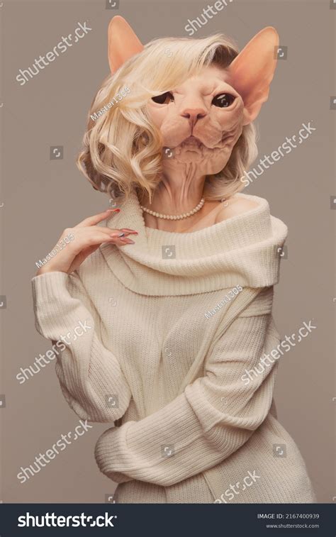 Sphynx Cat In Clothes And Wig Store Outlet Th