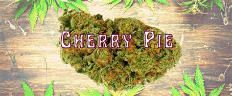 Cherry Pie Strain Topp Nuggs Review White Rabbit