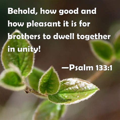 Psalm 133:1 Behold, how good and how pleasant it is for brothers to ...