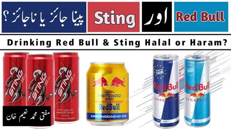 Drinking Red Bull Sting Halal Or Haram Mufti Muhammad Naeem Khan