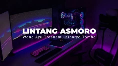 Dj Wong Ayu Tresnamu Kinaryo Tombo Viral Tiktok Lintang Asmoro Arya