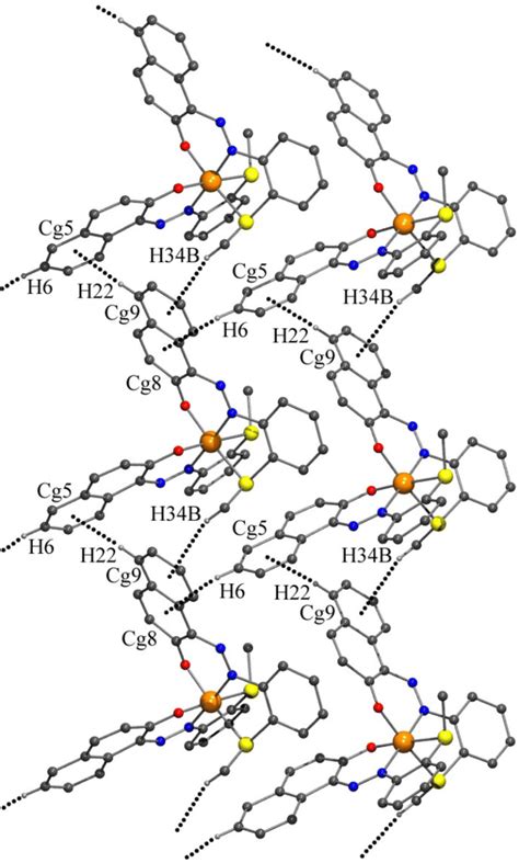 Dotted Lines Indicate Other Intermolecular Chcg Interactions In The