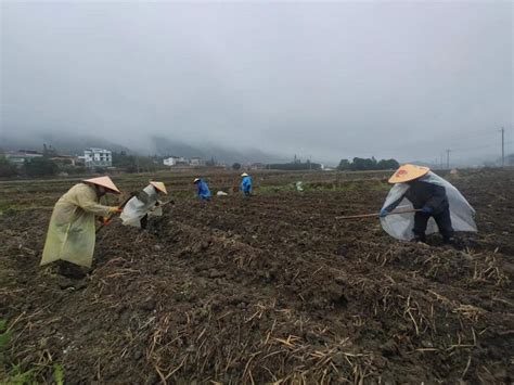 湖南桂东：人勤春来早 春耕正当时 国际在线