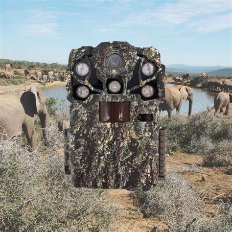 A Wildlife Photographers 5 Best Trail Cameras For Wildlife