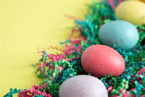 Pastel Color Easter Eggs · Free Stock Photo