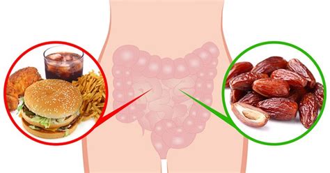 Ini Yang Akan Terjadi Pada Tubuh Jika Anda Makan Biji Buah Kurma