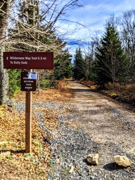 Hiking At Dolly Sods Wilderness In West Virginia - No Home Just Roam