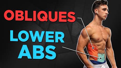 7 MIN HOME LOWER ABS And OBLIQUES NO EQUIPMENT BODYWEIGHT WORKOUT