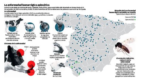 La propagación de la Enfermedad Hemorrágica Epizoótica EHE en la