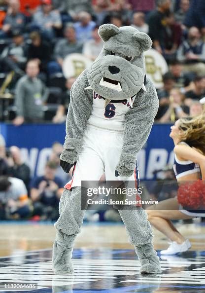 Gonzaga mascot Spike the Bulldog during a game between the Gonzaga ...