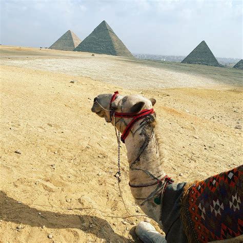 11 Days 10 Nights Cairo Luxor Aswan Nile Cruise Mount Sinai Tour