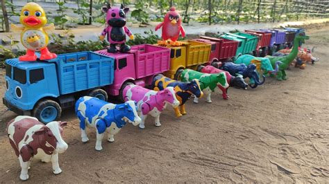 Truk Oleng Angkut Sapi Lucu Warna Warni Bebek Lucu Kambing Ayam