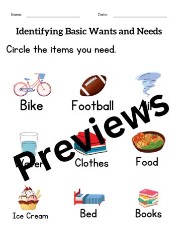 basic human   basic   animals activities worksheet