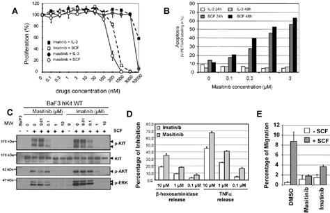 Figure 1 From Masitinib AB1010 A Potent And Selective Tyrosine