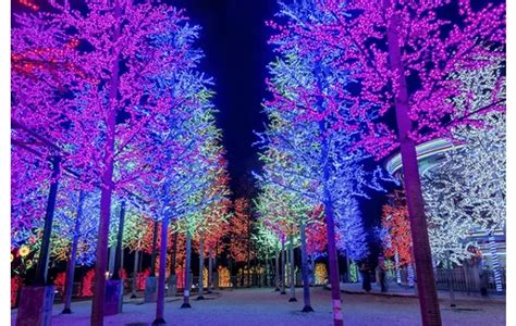 Graphene Leds Key To Changes In The Future Of Lighting