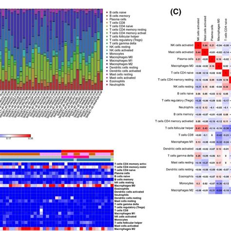 The Landscape Of Infiltrating Immune Cells In Osteosarcoma Os A Bar Download Scientific