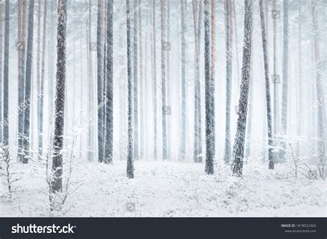 202,194 Nordic winter Images, Stock Photos & Vectors | Shutterstock