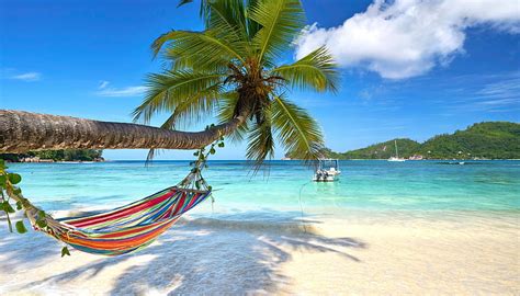 Beach Sand Palms Relaxing Island Hd Wallpaper Peakpx