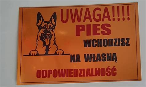 Tabliczka Ostrzegawcza Uwaga Pies Rozgarty Olx Pl