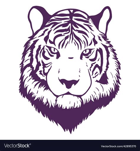 Frontal Tiger Head Hand Drawn High Quality Vector Image