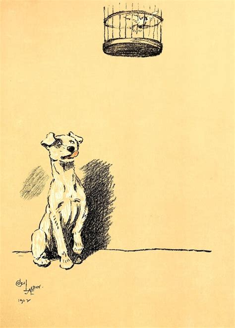 Cecil Aldin Original 1914 Vintage Dog Print Choice Of 10 Etsy