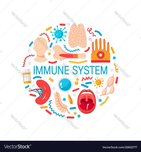 Immune System Concept Royalty Free Vector Image