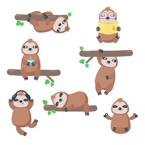 Premium Vector Cute Sloth Icon Set Vector Isolated Illustration