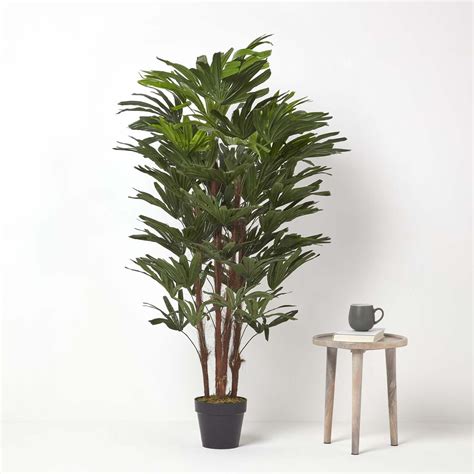 Homescapes Artificial Rhapis Excelsa Palm Tree Cm Tall