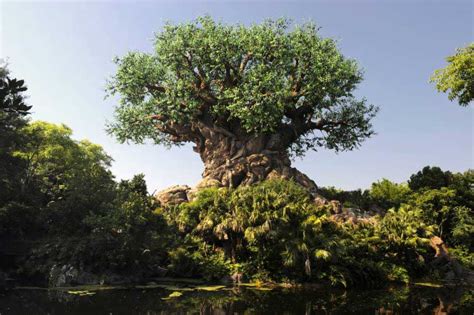 dak-tree-of-life | The Disney Blog